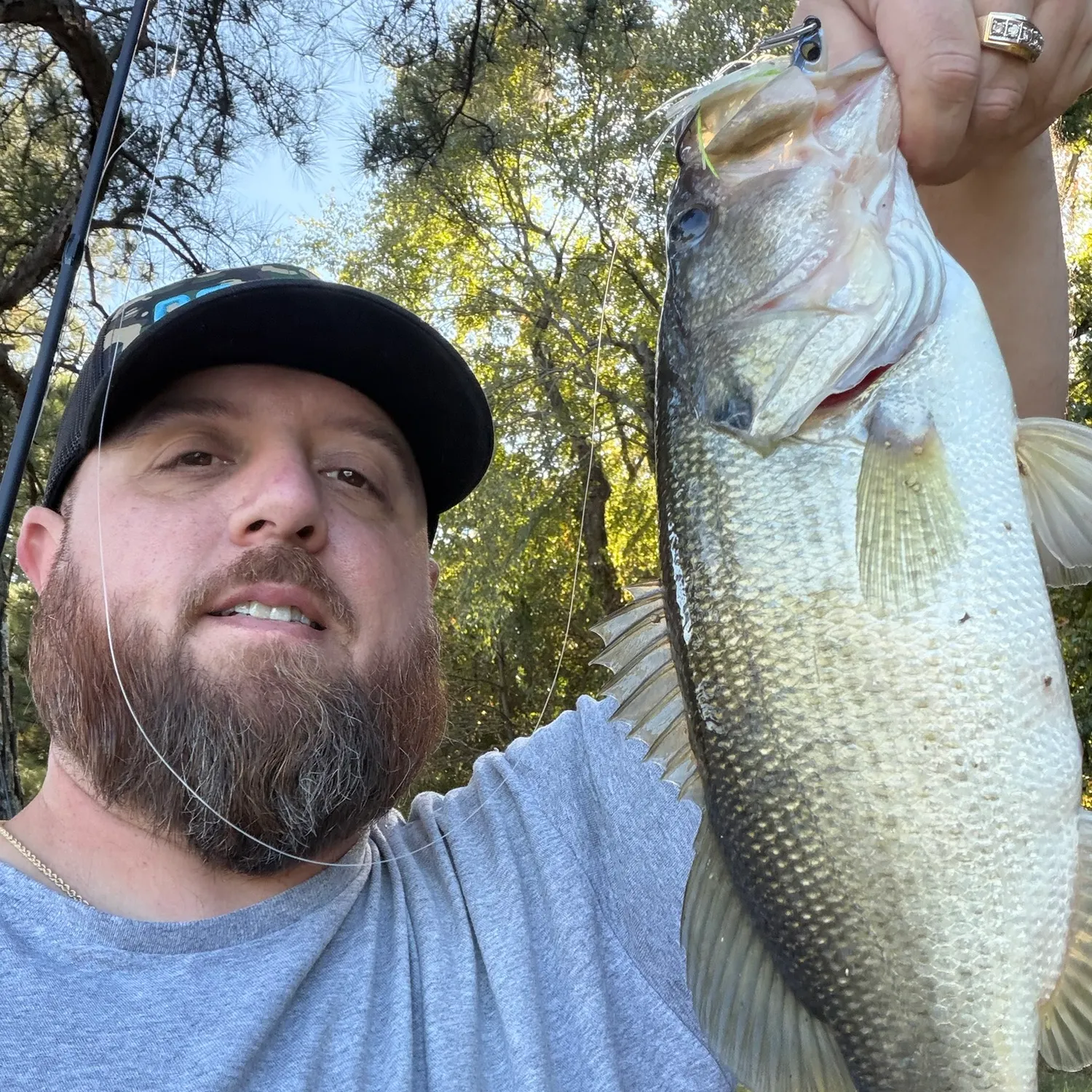 Largemouth bass caught on Fishbrain