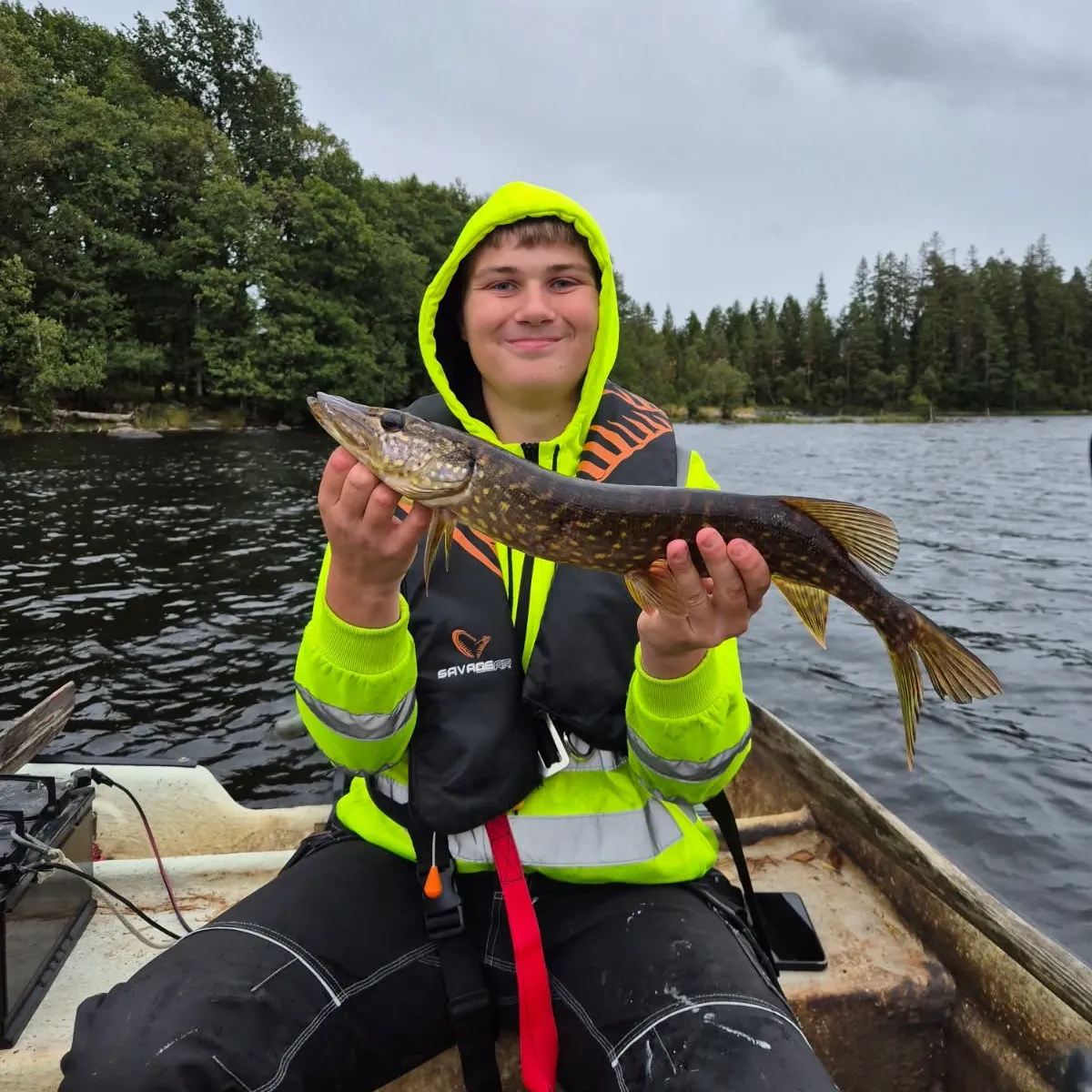 Northern pike caught on Fishbrain