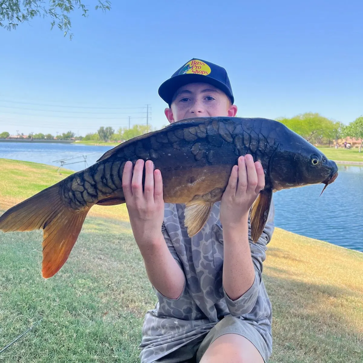 most liked catch image