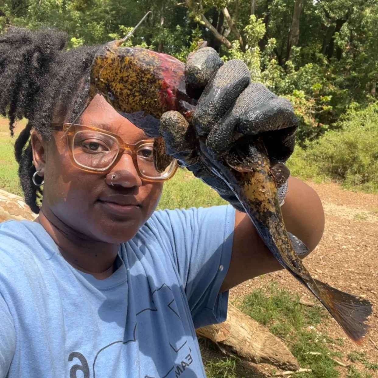 Flathead catfish caught on Fishbrain