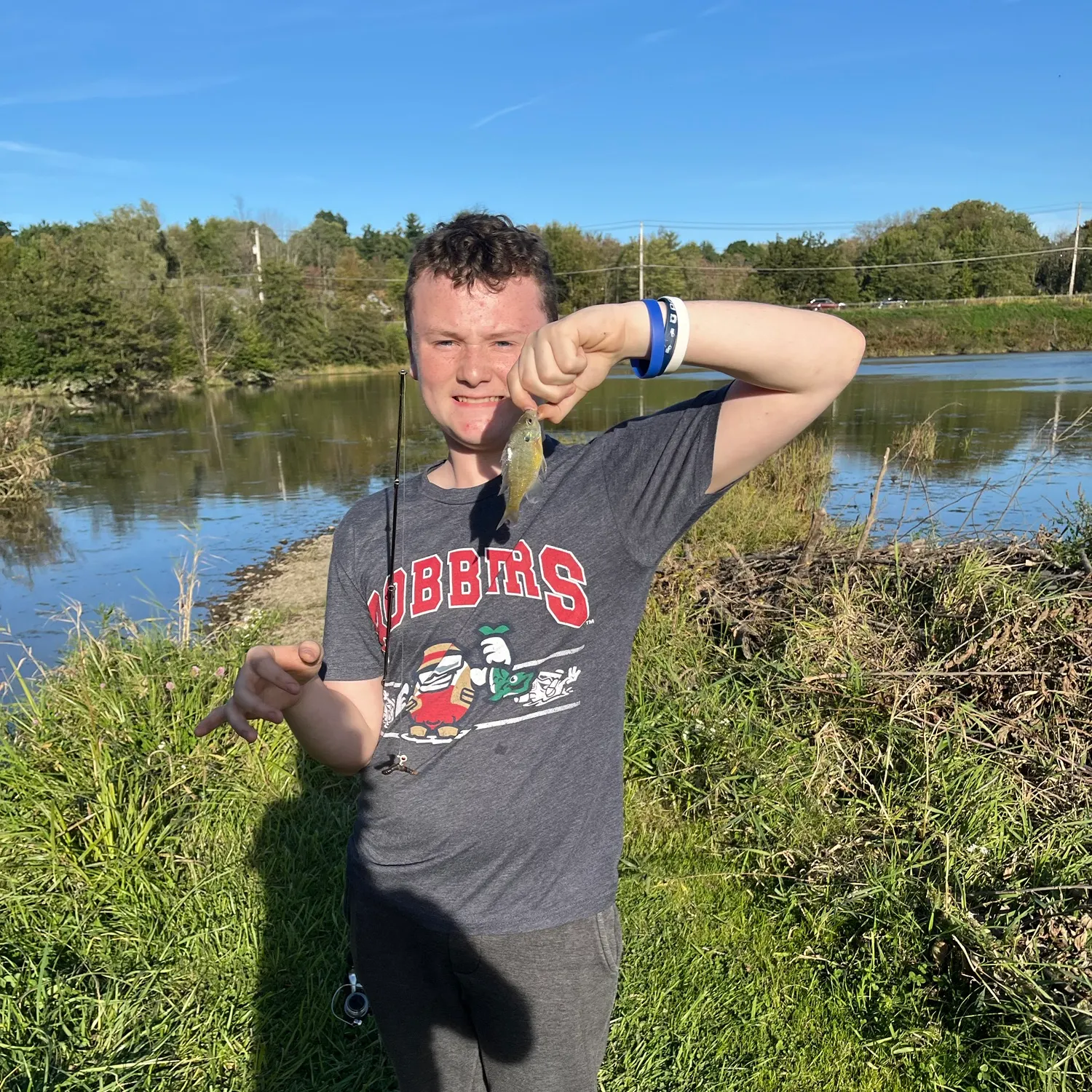 Bluegill caught on Fishbrain