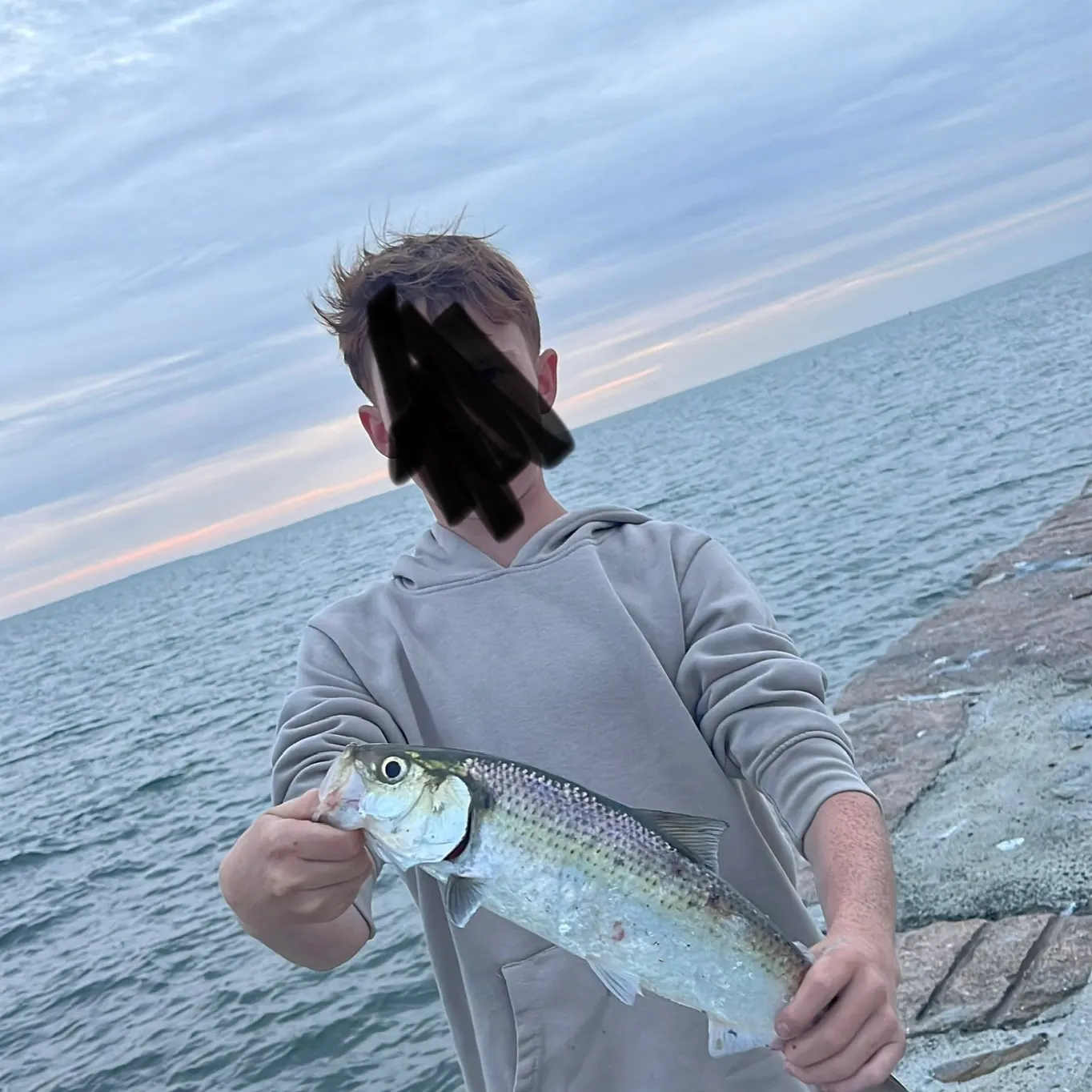 The most recent Gulf menhaden catches on Fishbrain