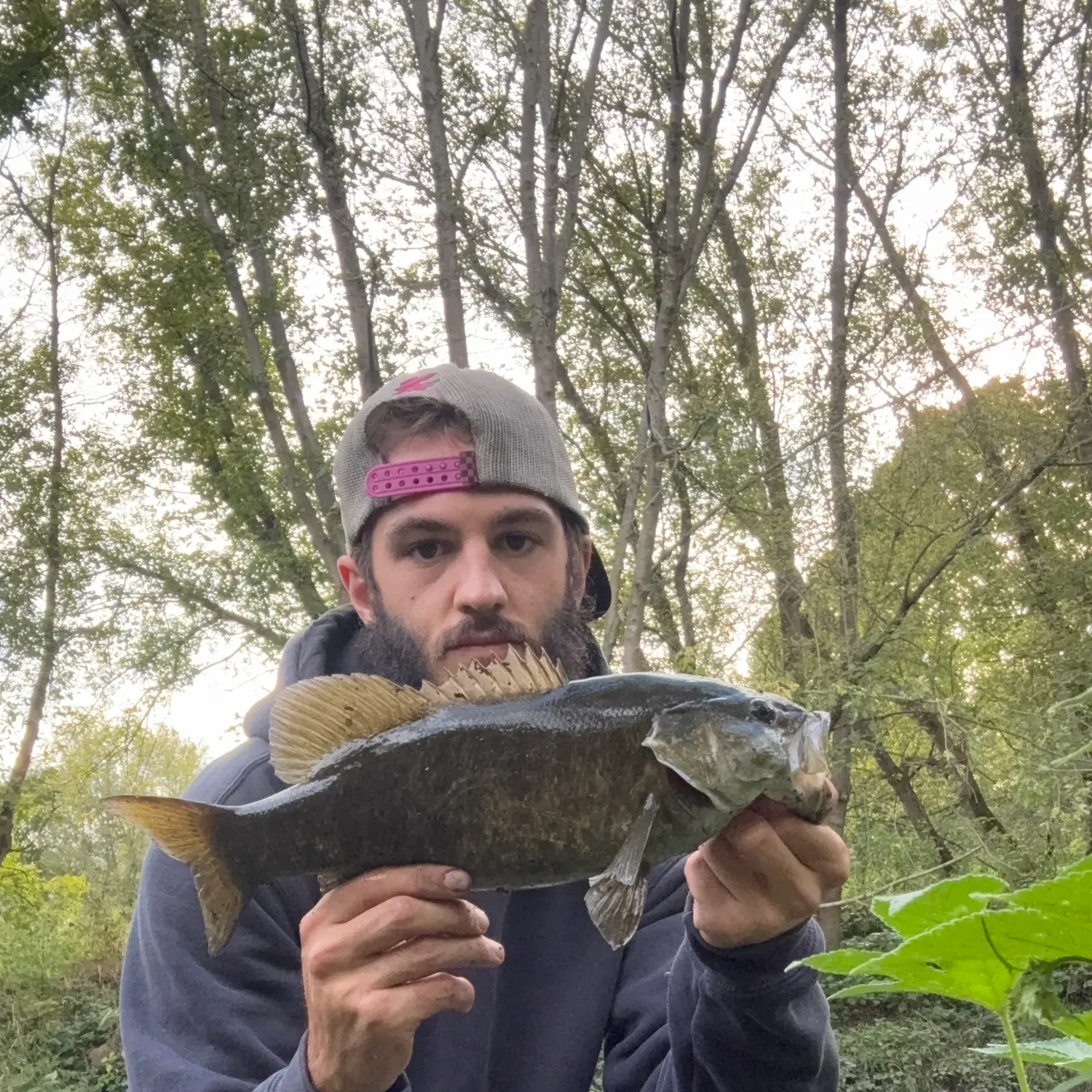 Smallmouth bass caught on Fishbrain