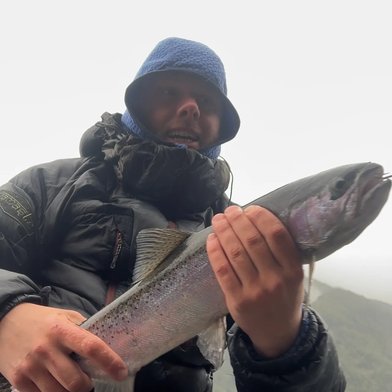 Rainbow trout caught on Fishbrain