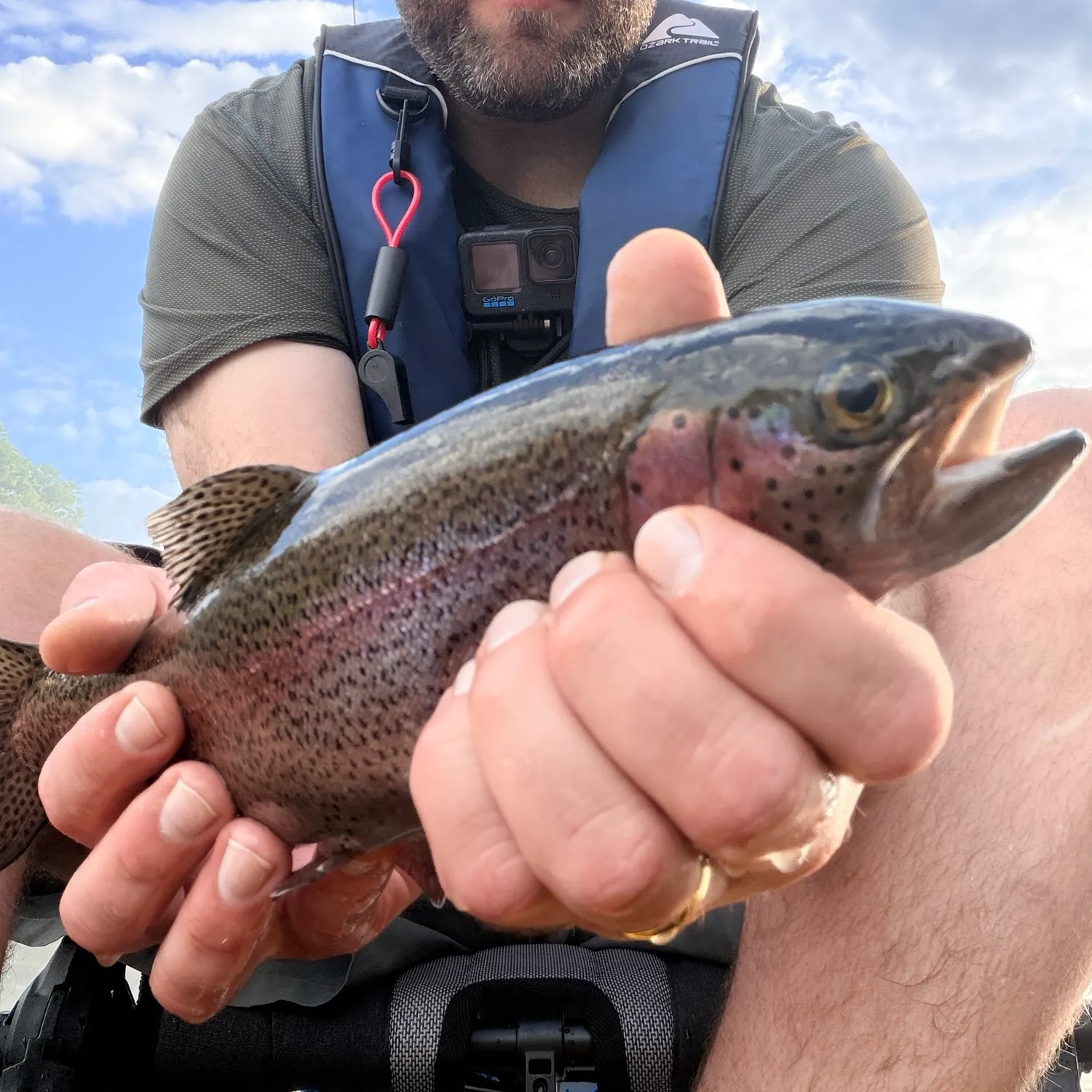 Rainbow trout caught on Fishbrain