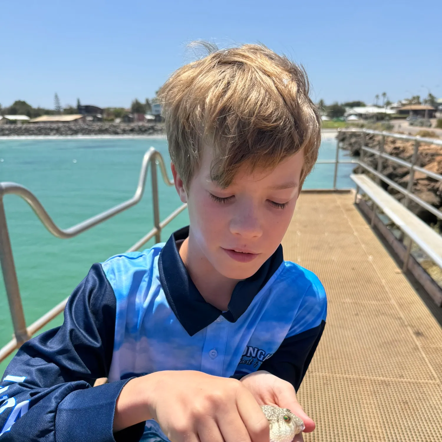 The most recent Oceanic puffer catches on Fishbrain