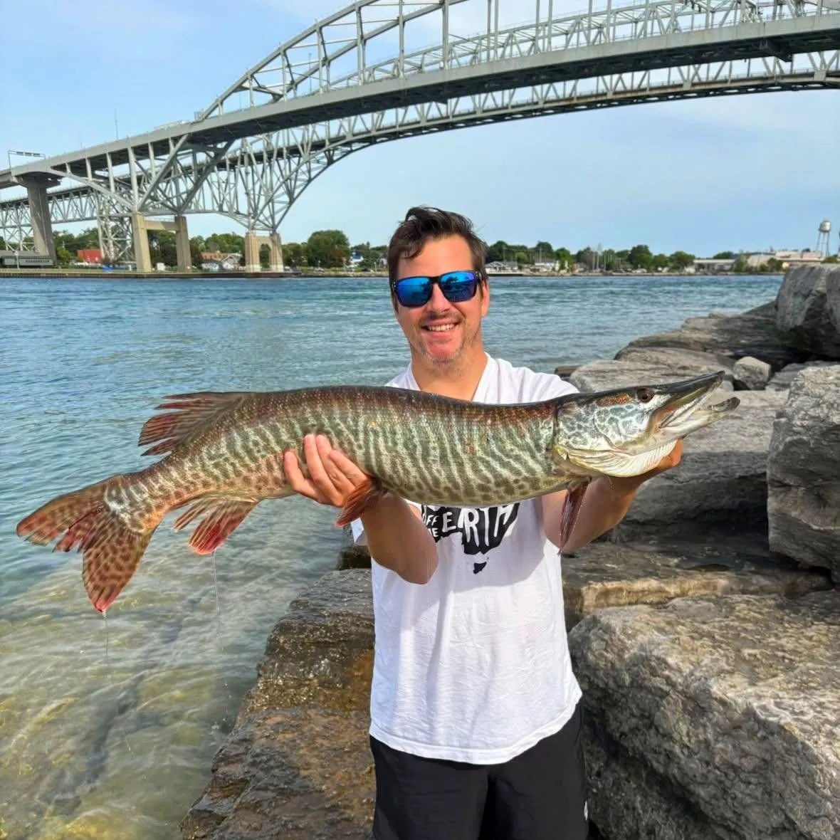 The most recent Tiger muskie catches on Fishbrain