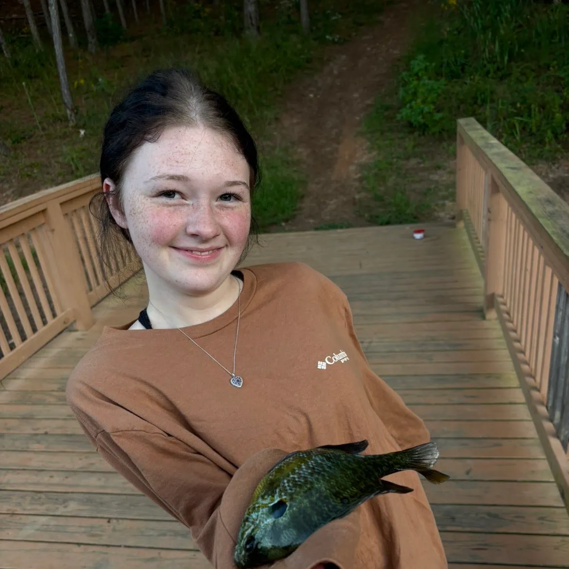 Bluegill caught on Fishbrain