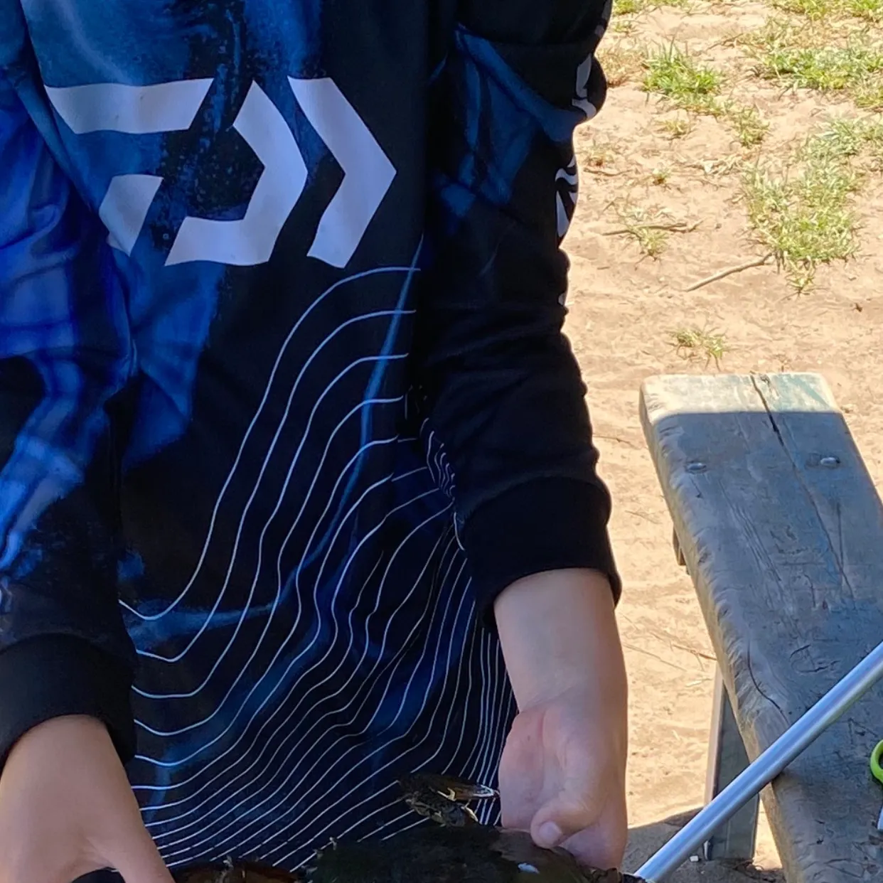 The most recent Giant mud crab catches on Fishbrain