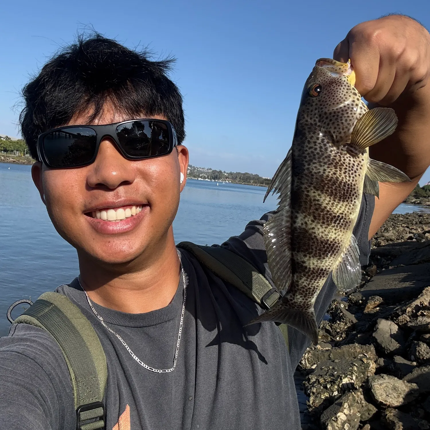 Spotted sand bass caught on Fishbrain