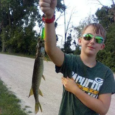 Northern pike caught on Fishbrain