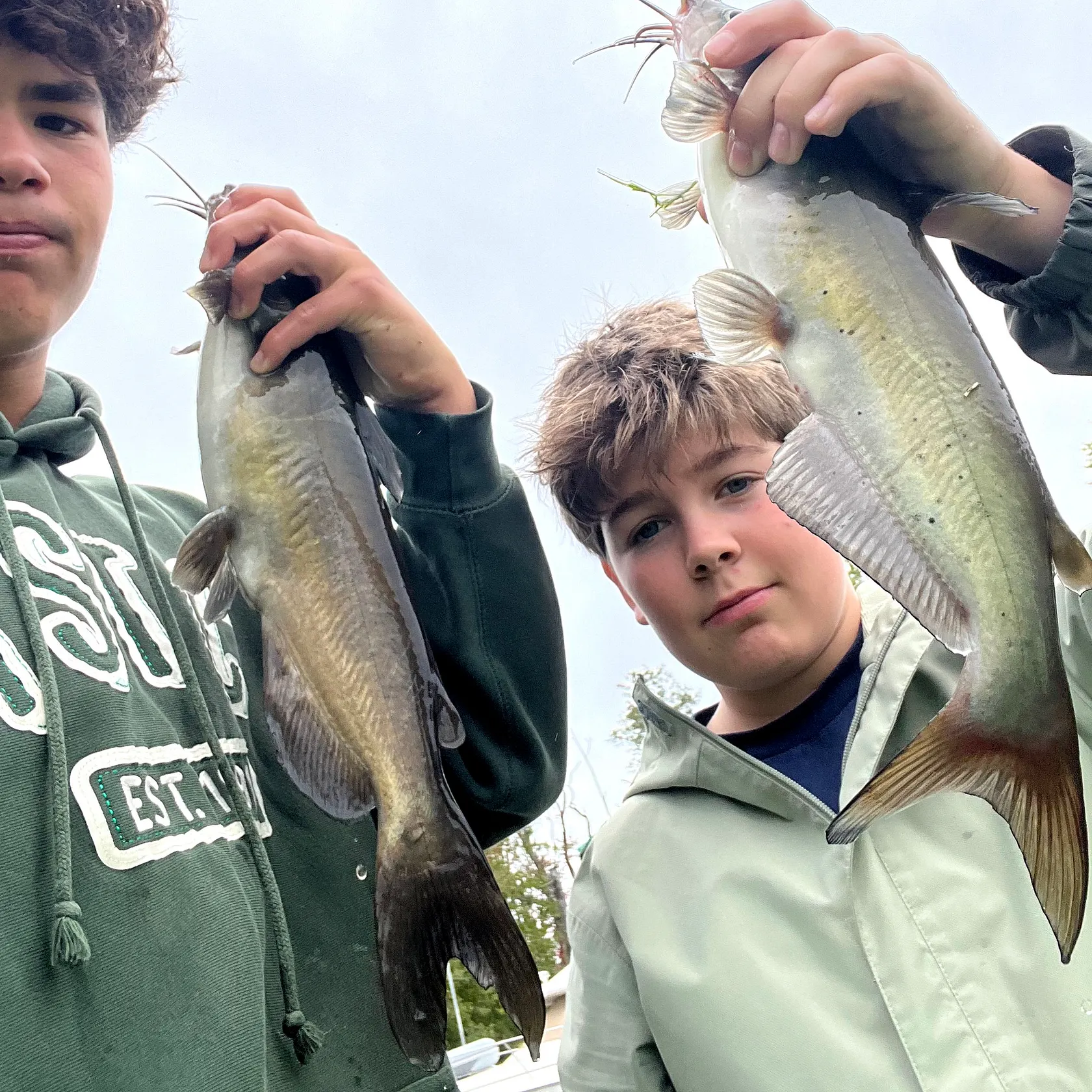 Channel catfish caught on Fishbrain