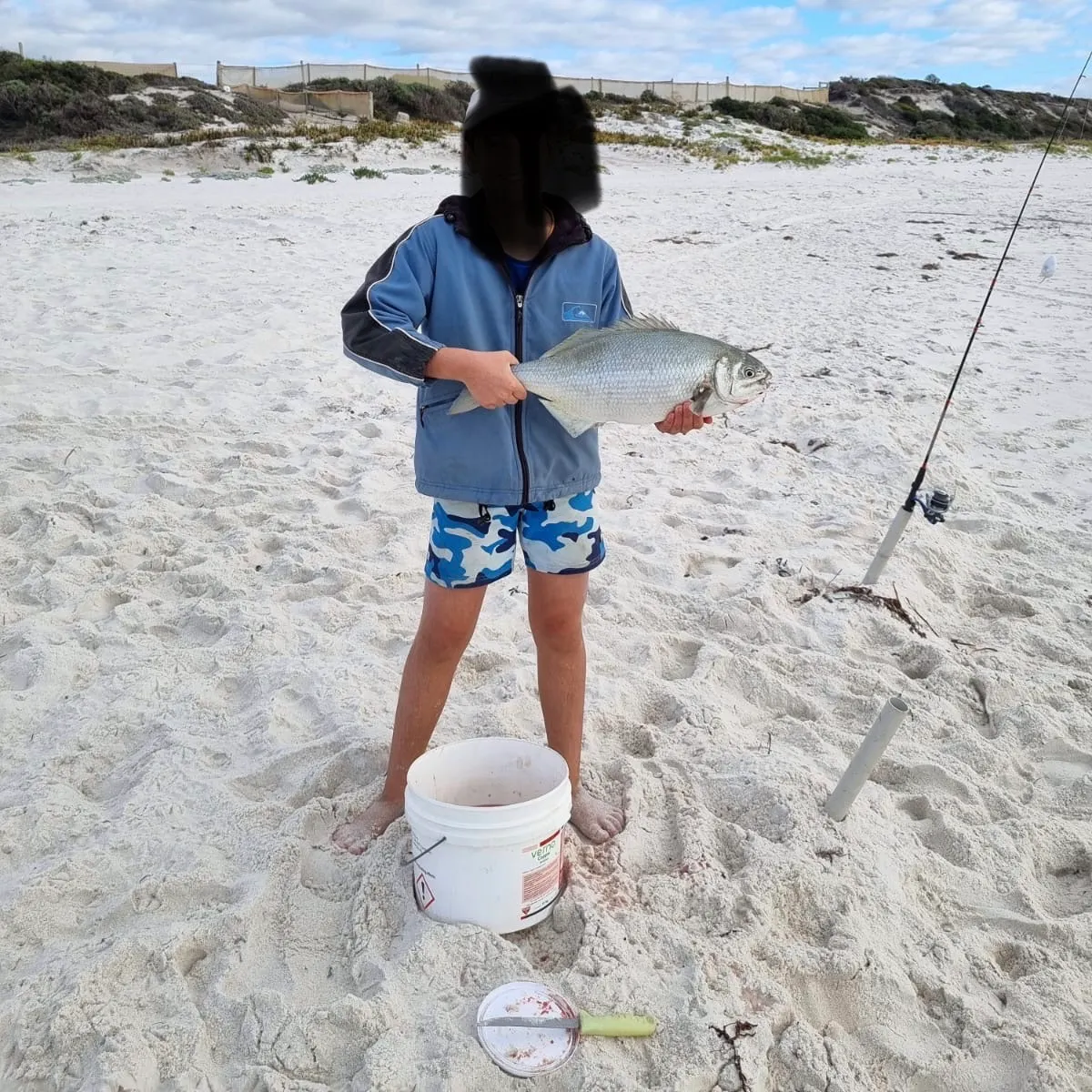 The most recent Common seabream catches on Fishbrain