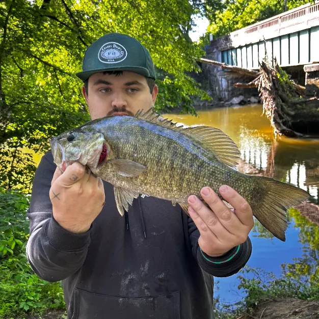 most liked catch image