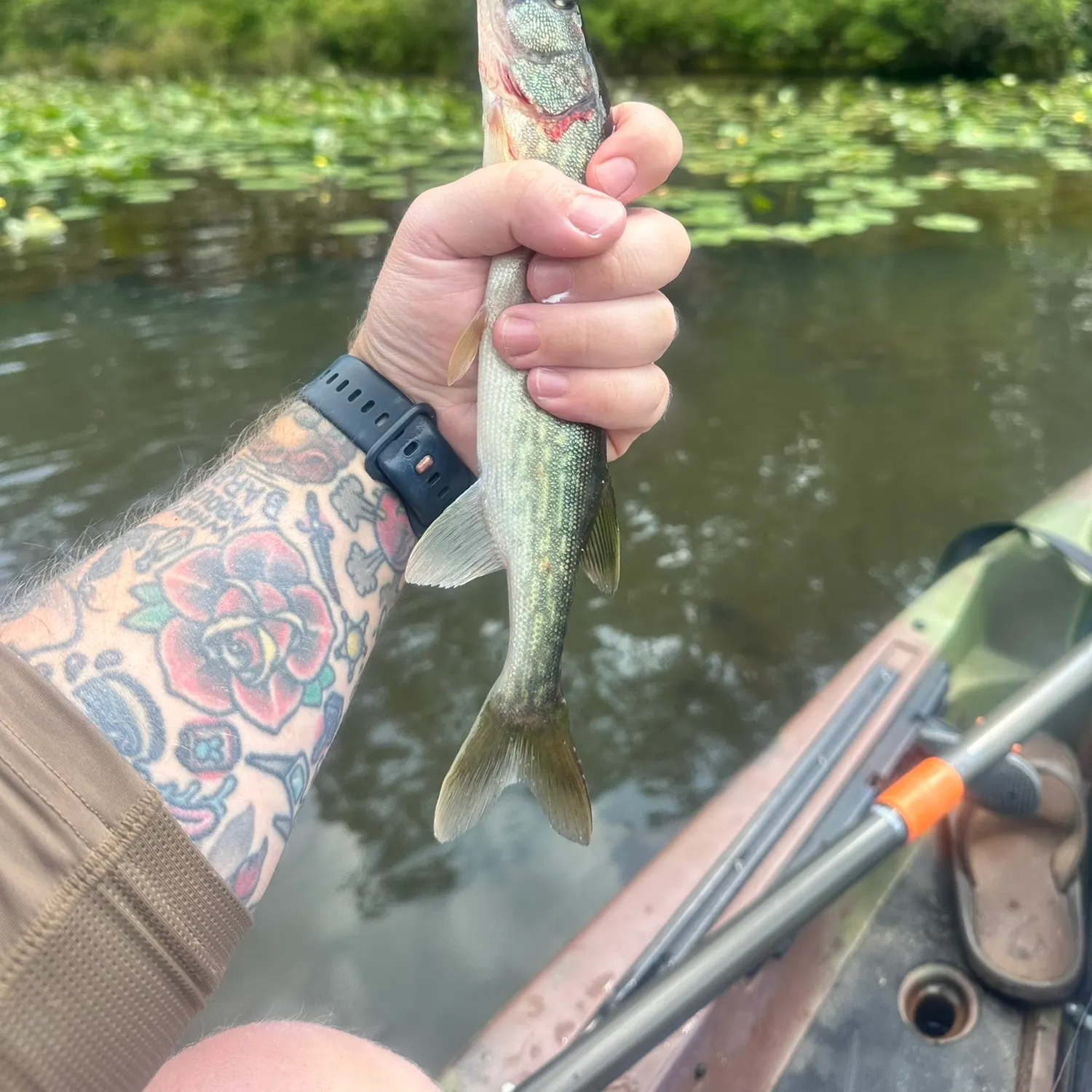 catch