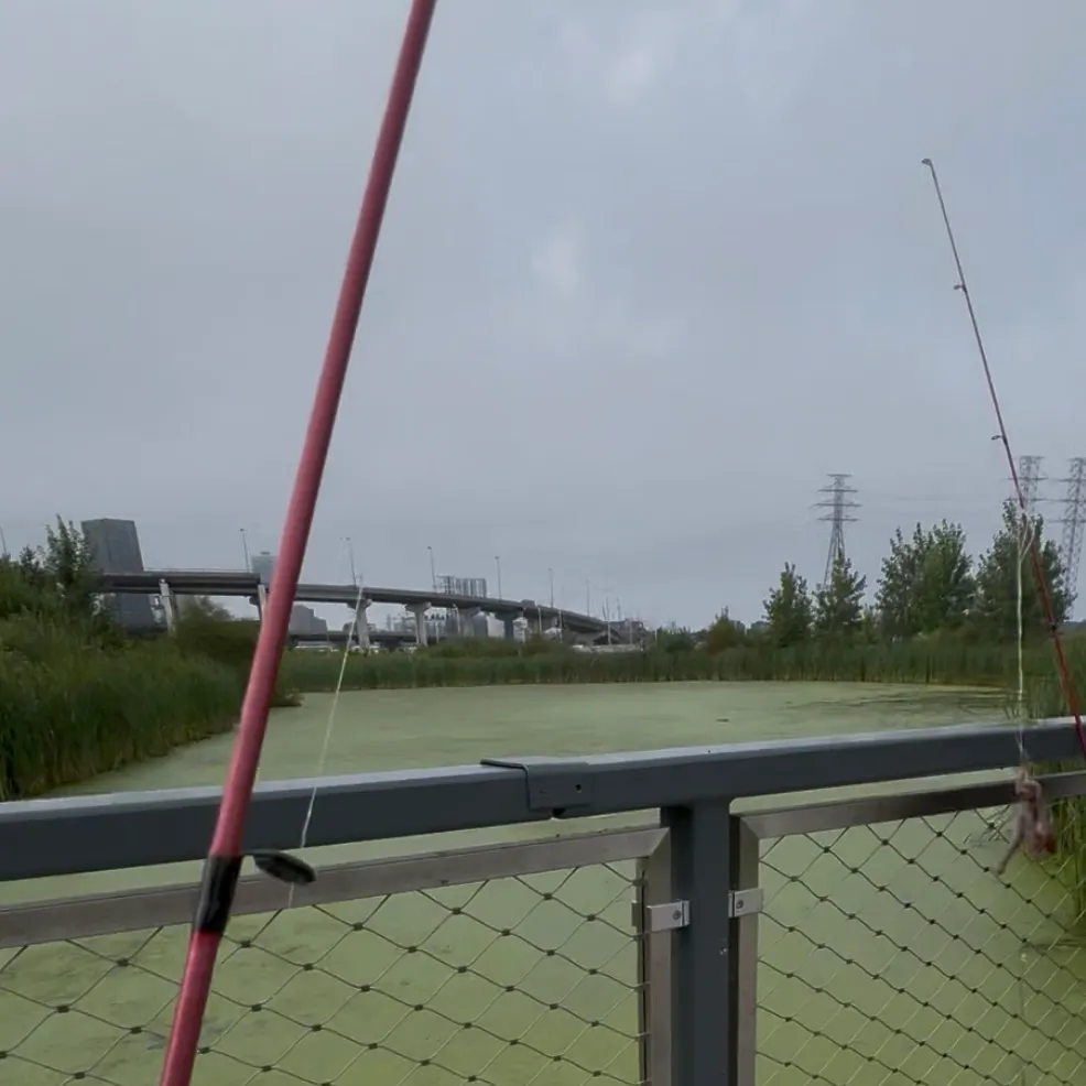 Round goby caught on Fishbrain