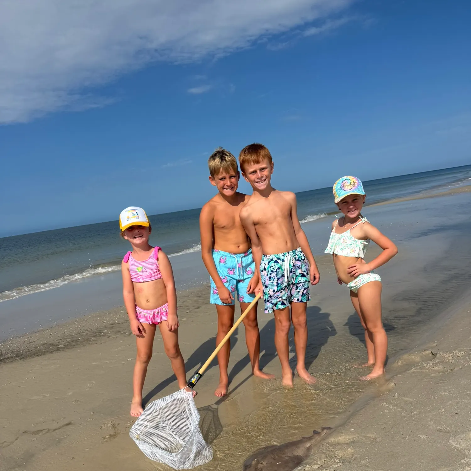 The most recent Brown guitarfish catches on Fishbrain
