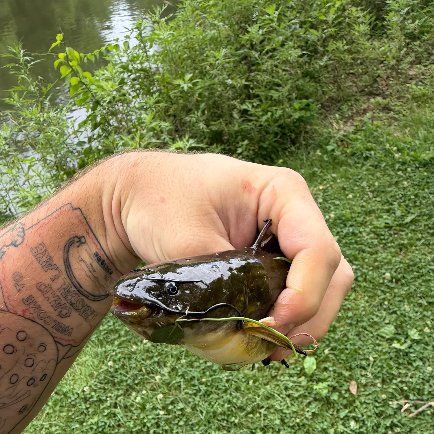 catch