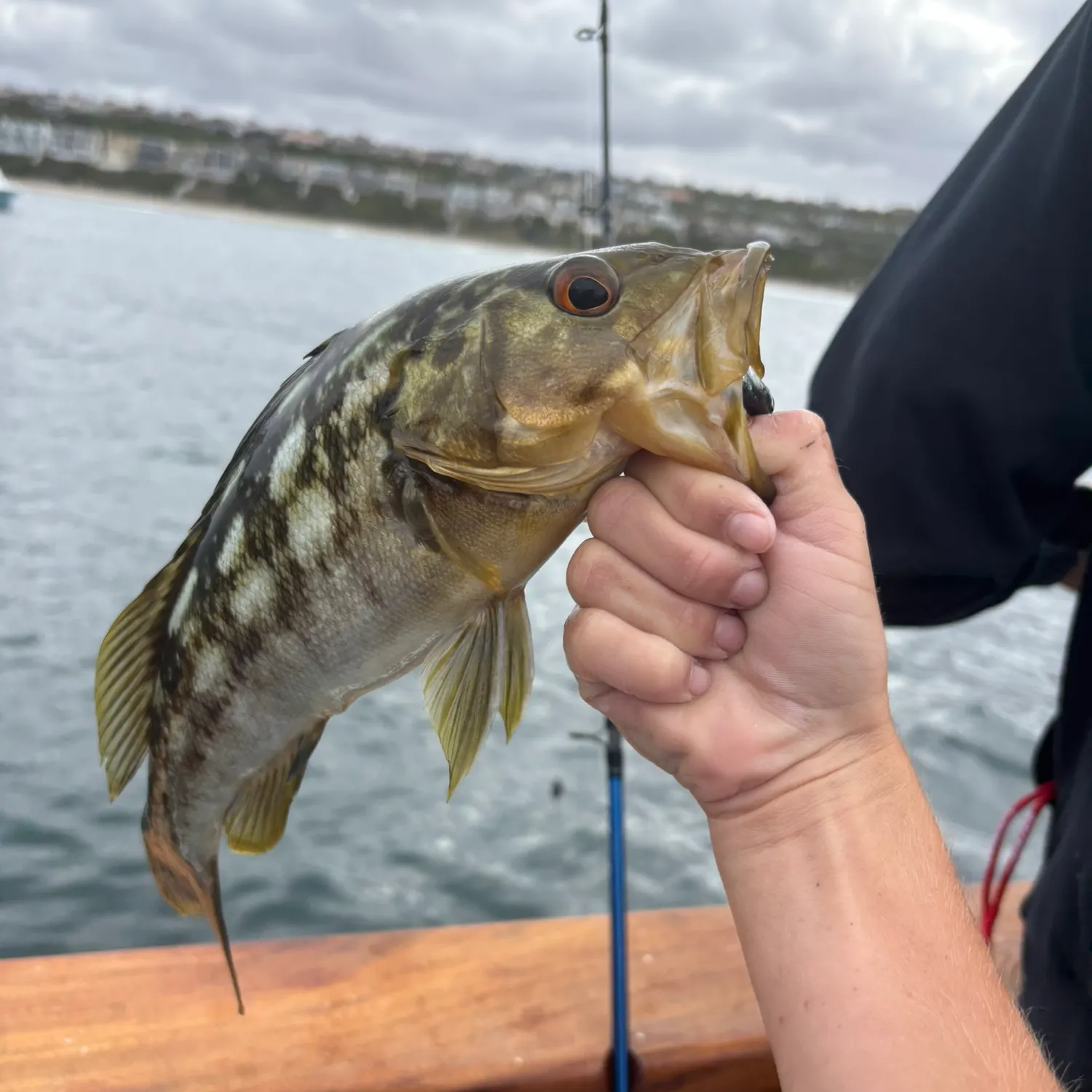 catch