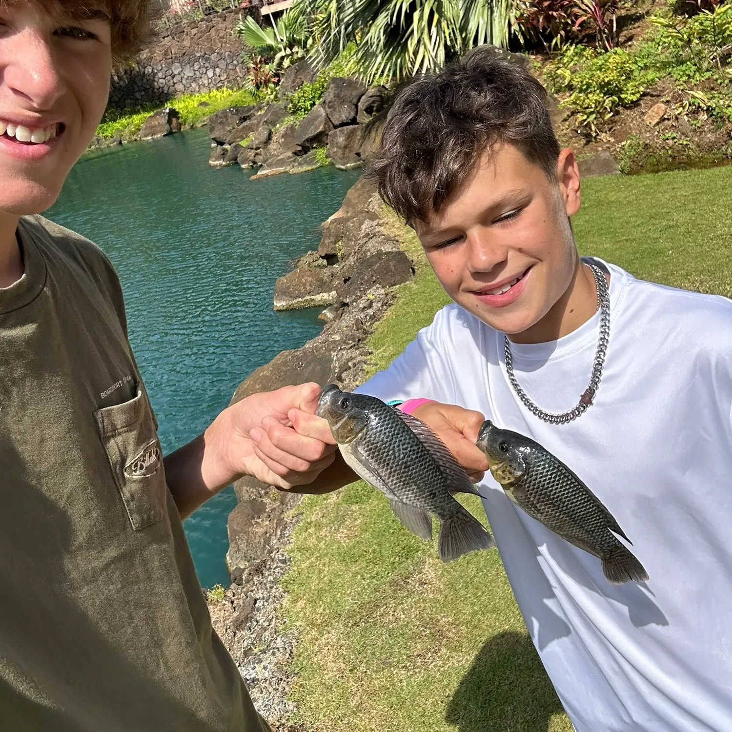 The most recent Mozambique tilapia catches on Fishbrain