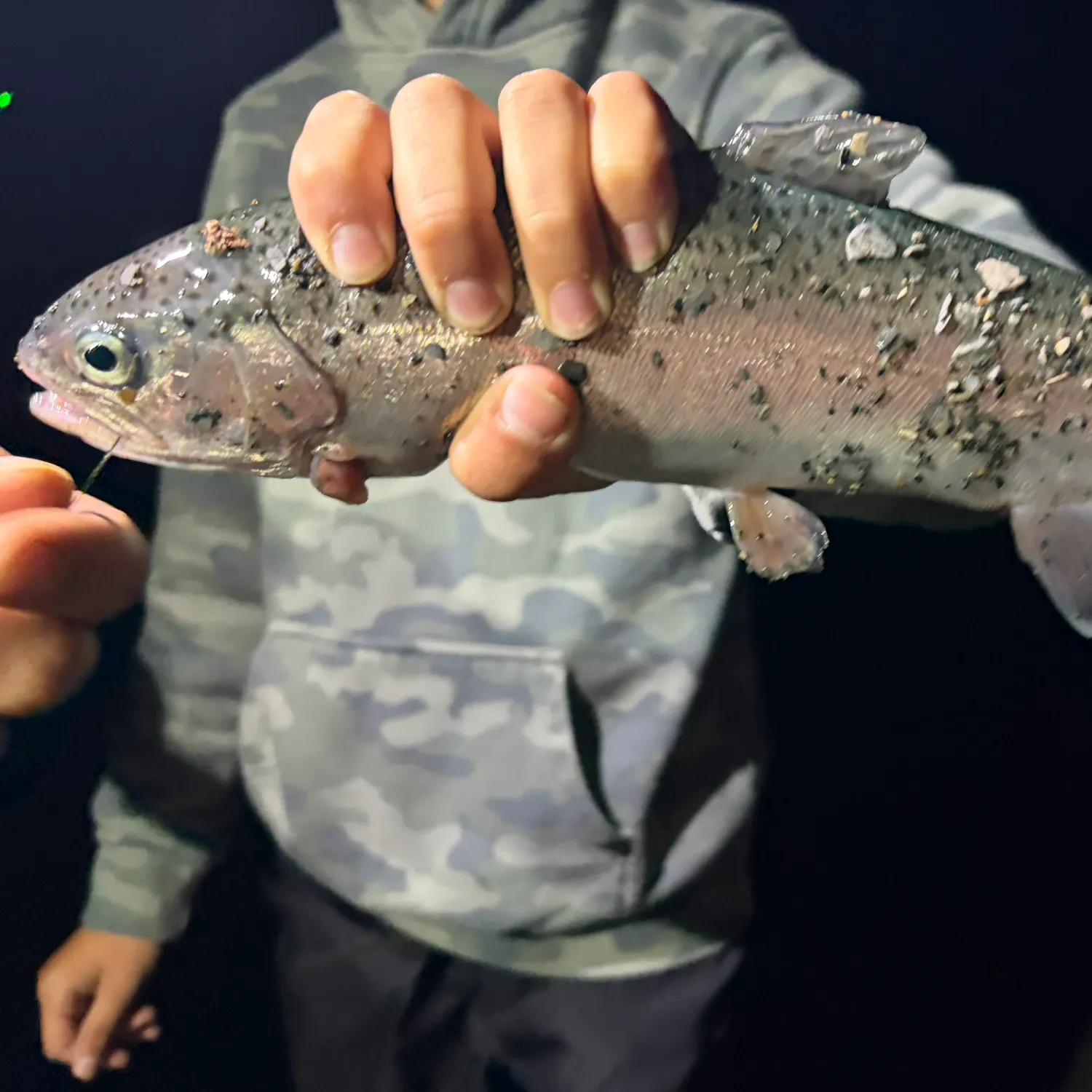 Lake trout caught on Fishbrain