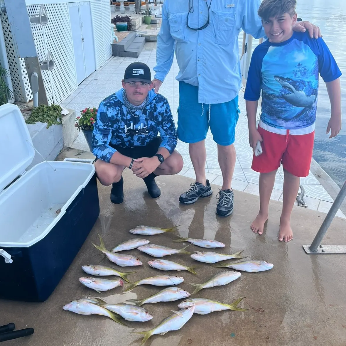 Yellowtail snapper caught on Fishbrain