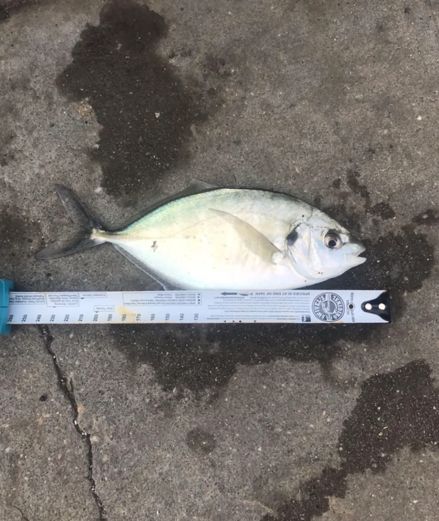 Post image from ayildirim1984