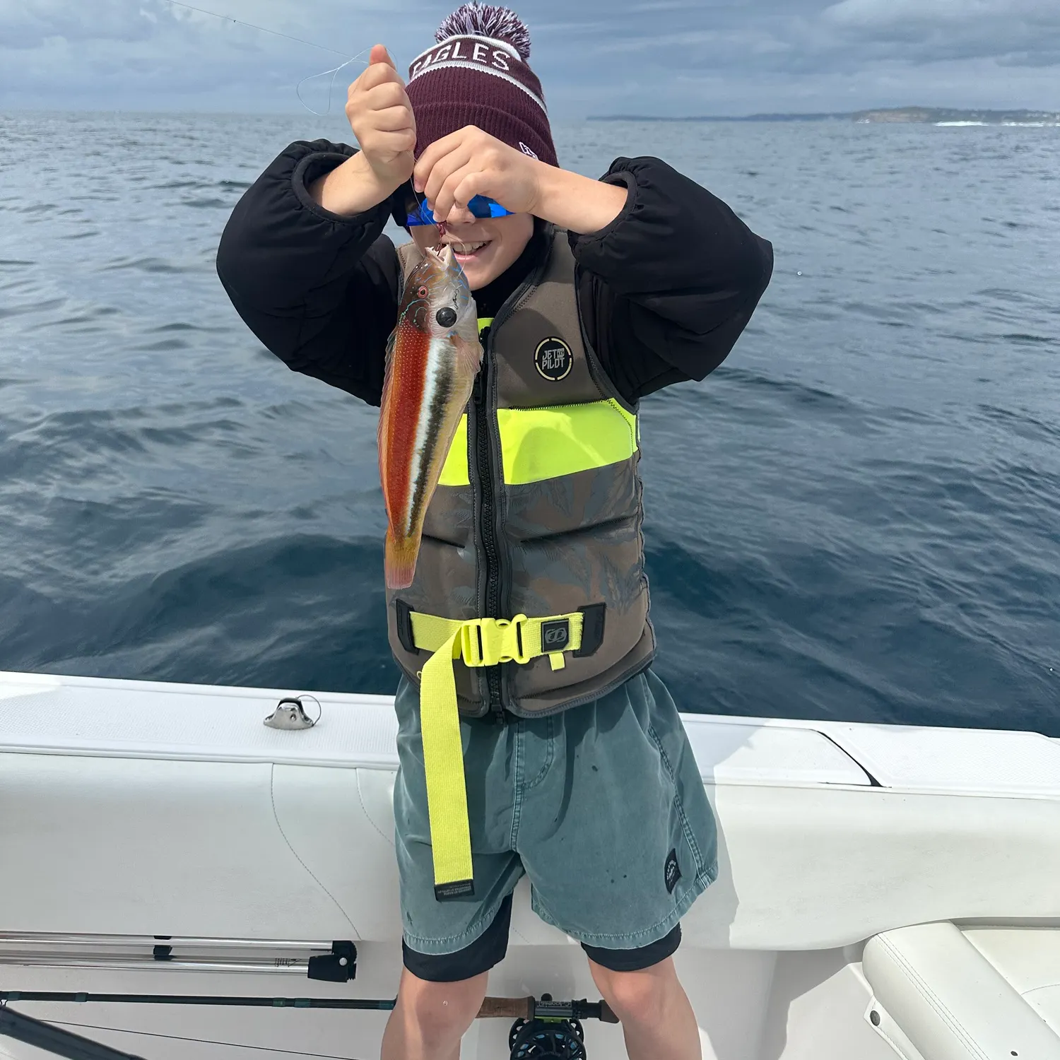The most recent Maori wrasse catches on Fishbrain