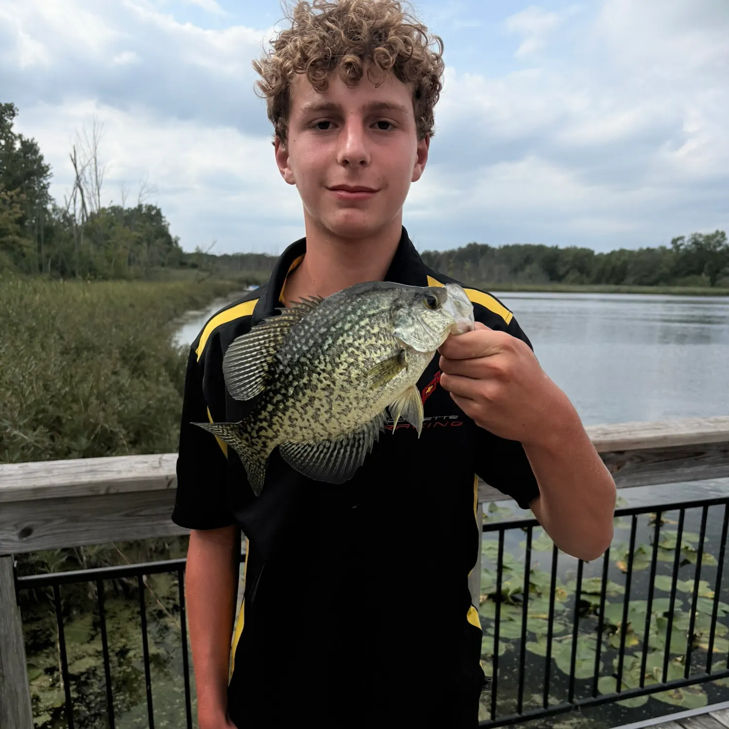 Black crappie caught on Fishbrain