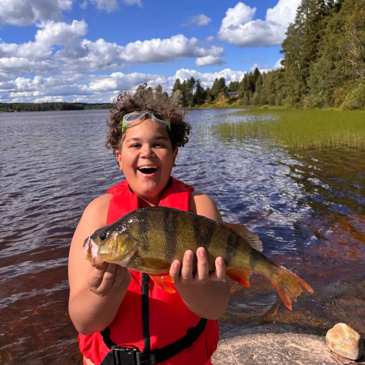 European perch caught on Fishbrain