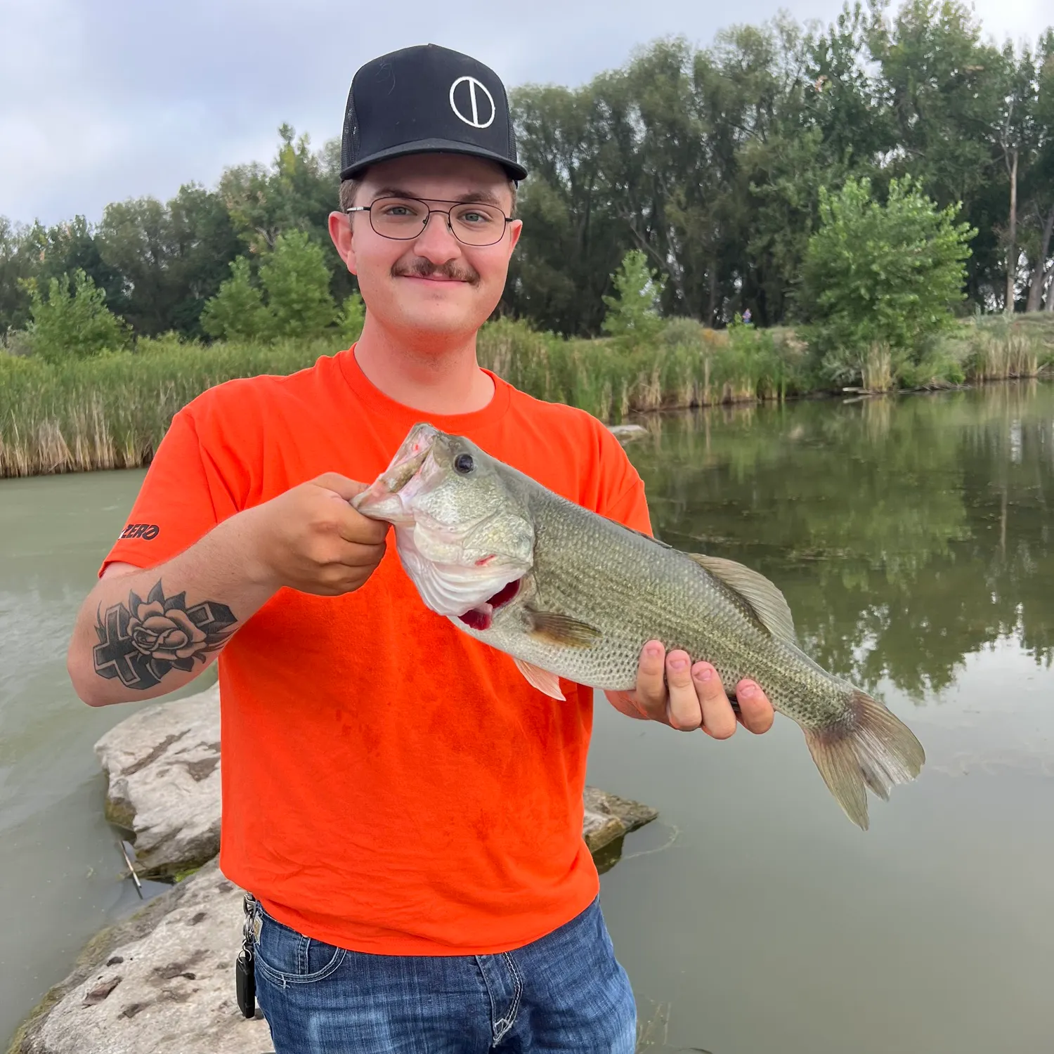 Largemouth bass caught on Fishbrain