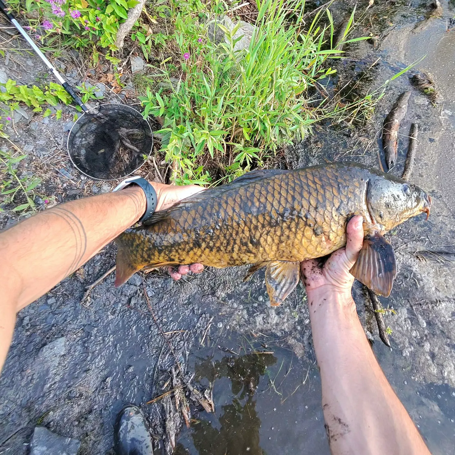 catch