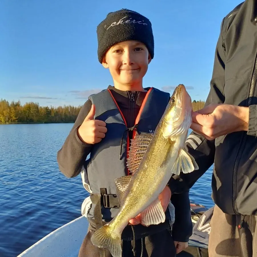 Zander caught on Fishbrain