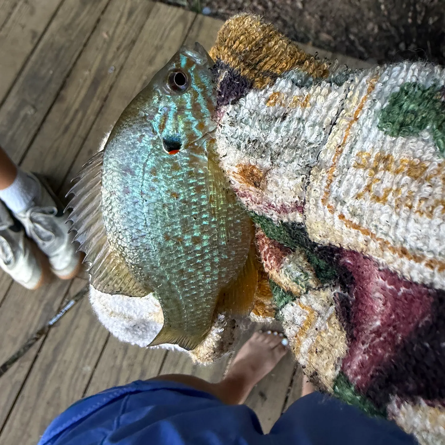 catch
