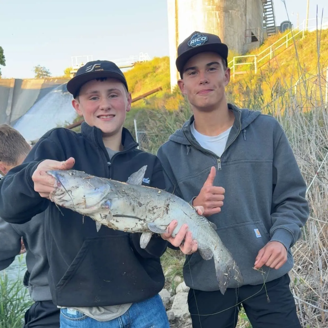 Channel catfish caught on Fishbrain
