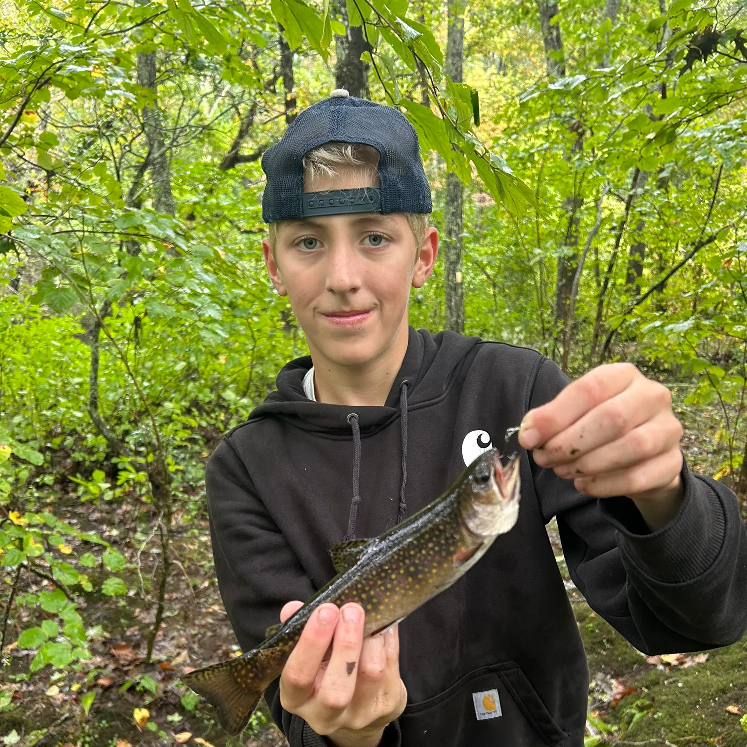 Brook trout caught on Fishbrain