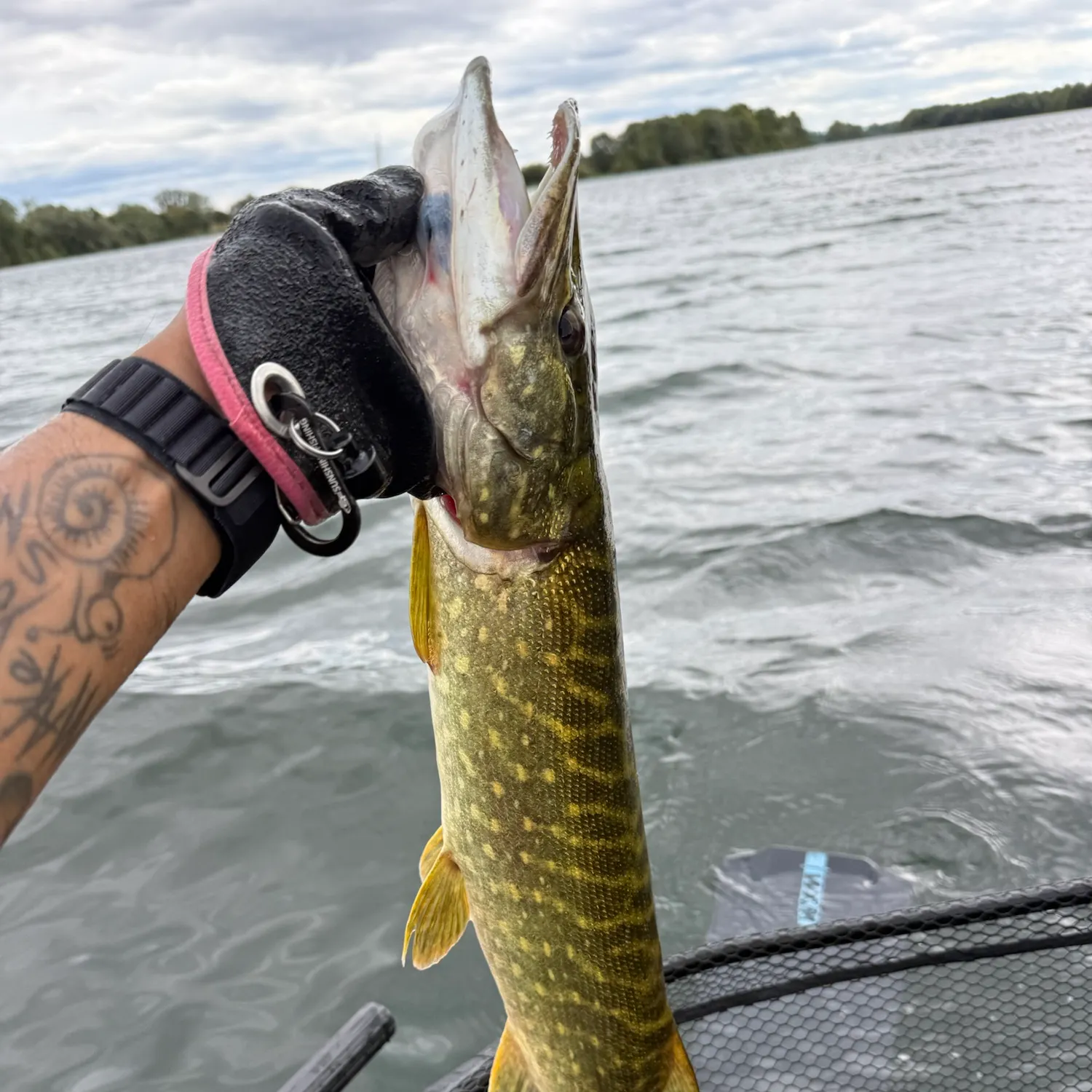 catch