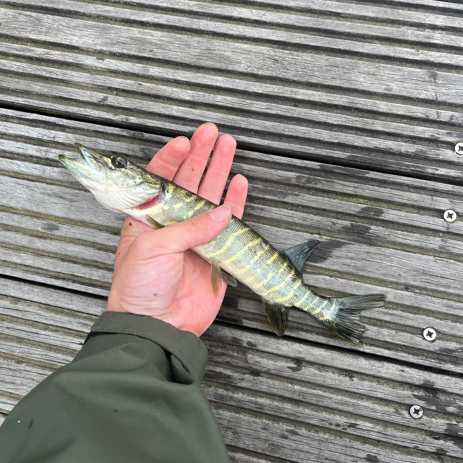catch