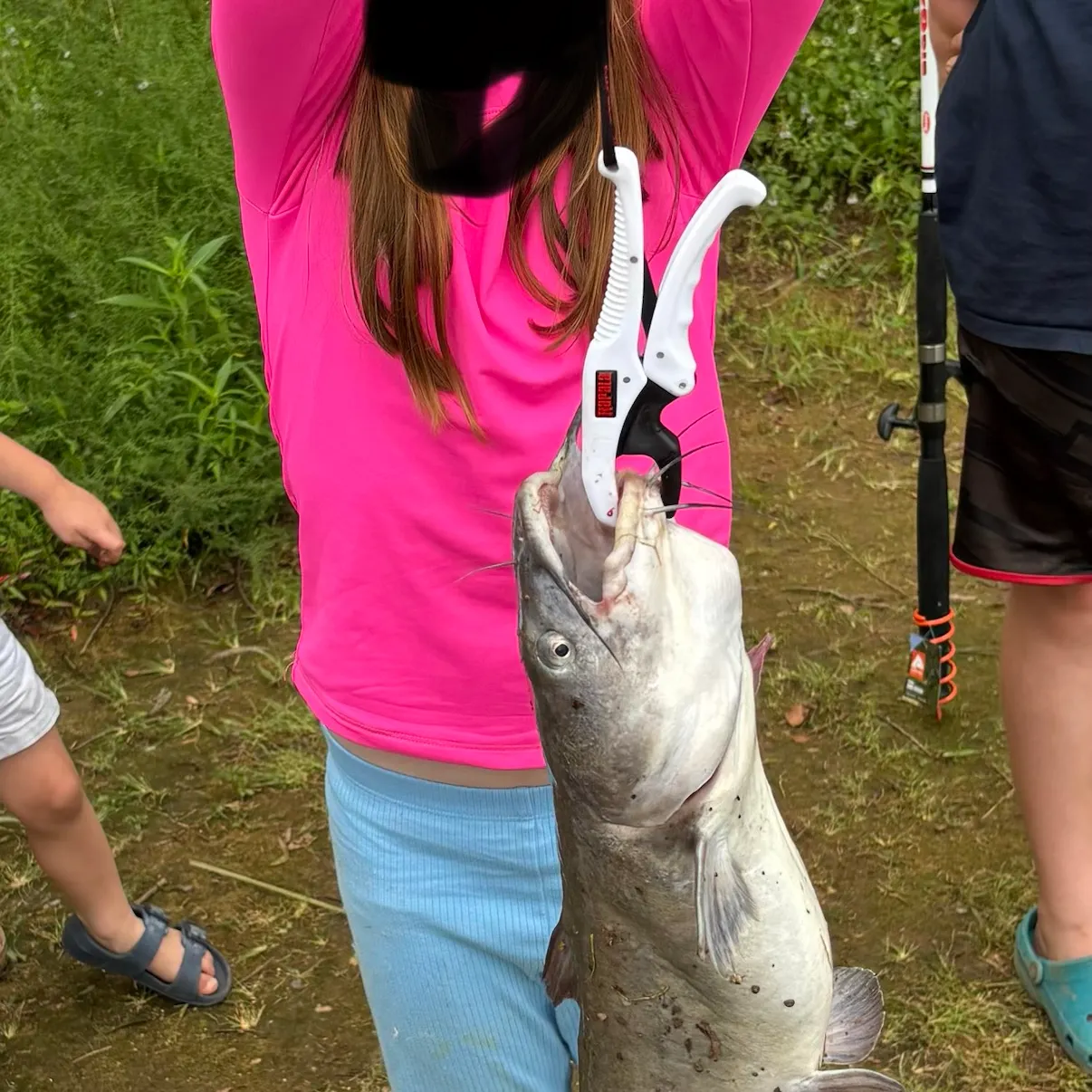 Blue catfish caught on Fishbrain