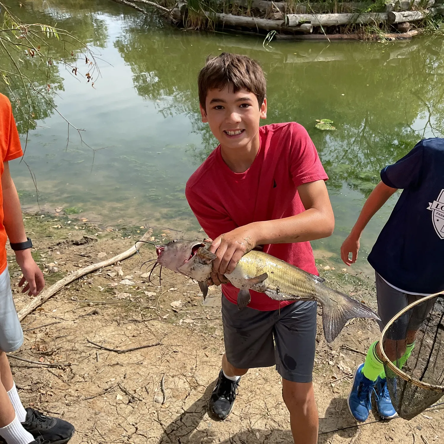 Channel catfish caught on Fishbrain