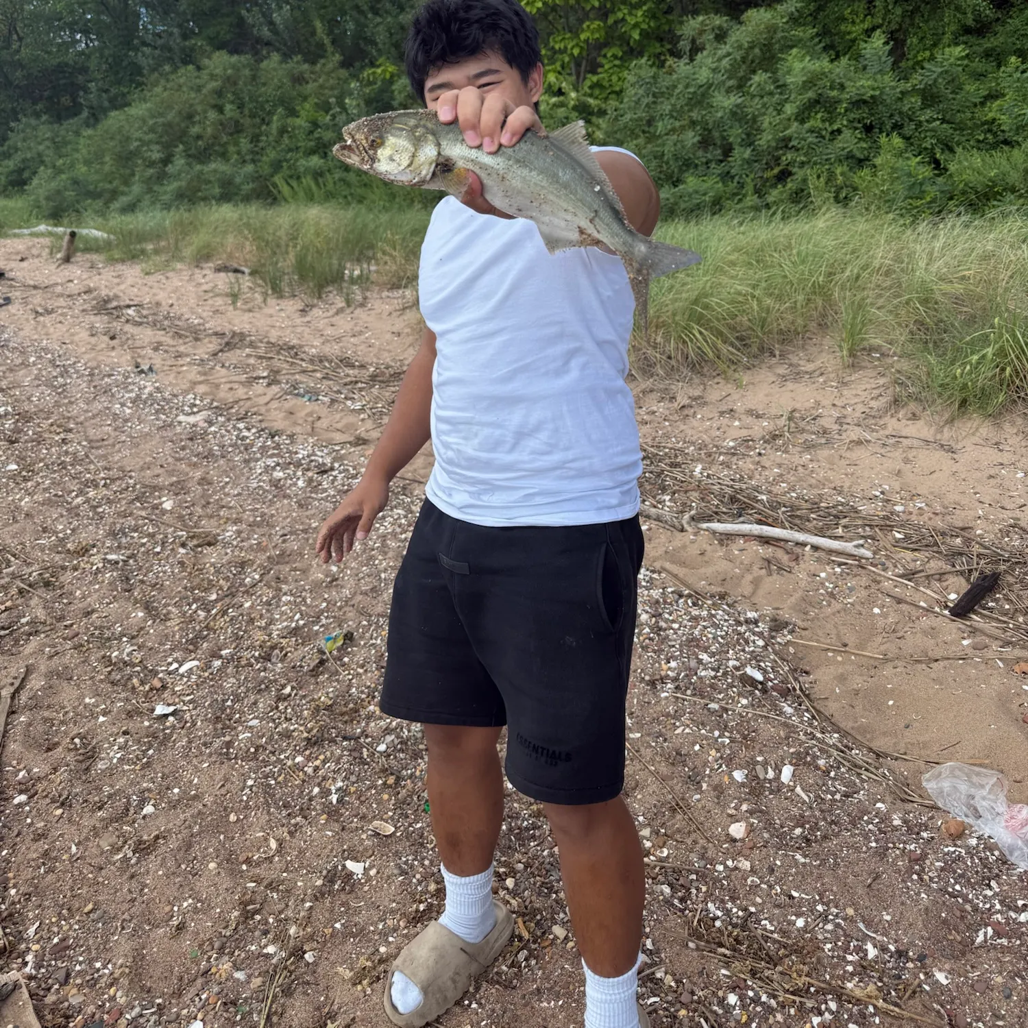 Bluefish caught on Fishbrain