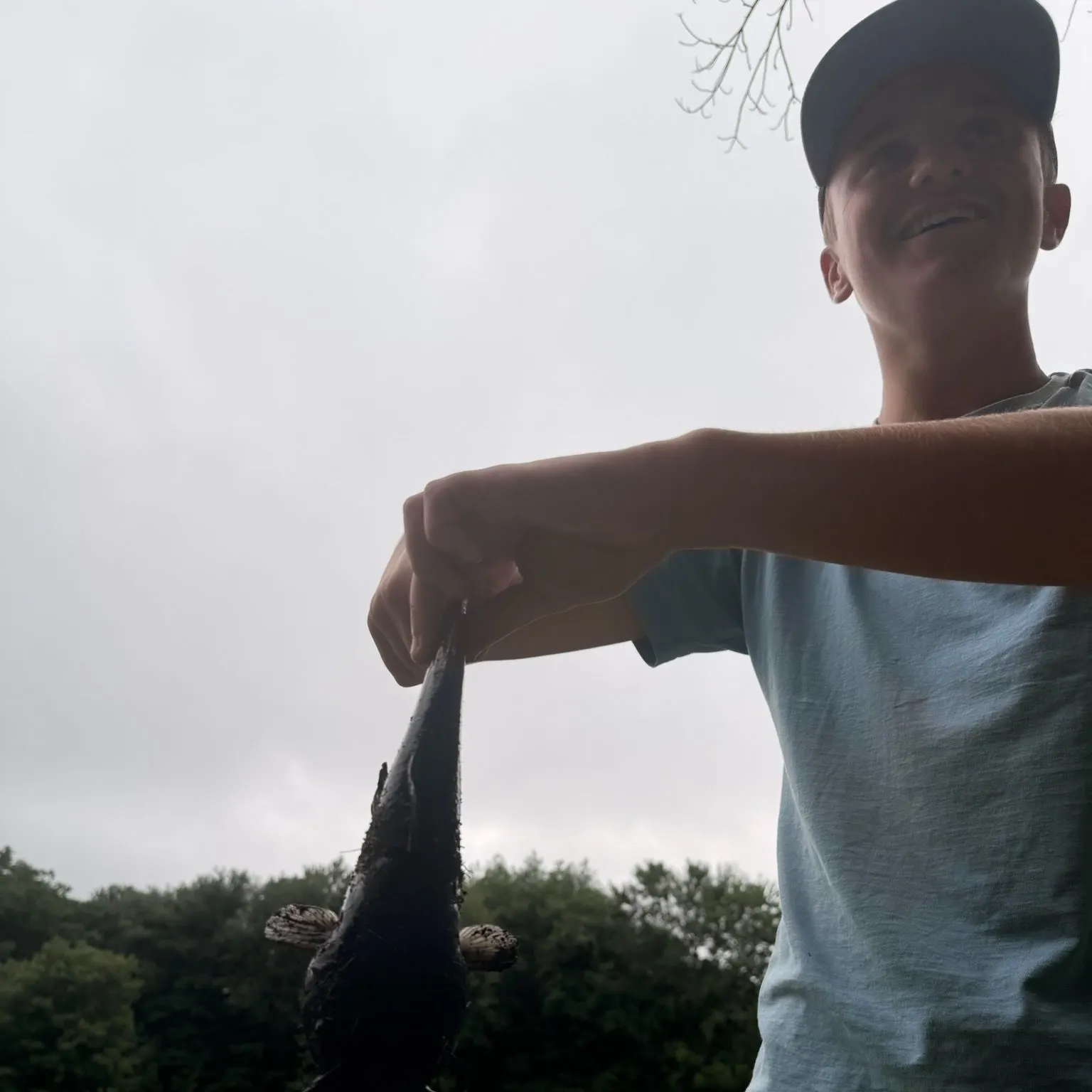 Black bullhead caught on Fishbrain