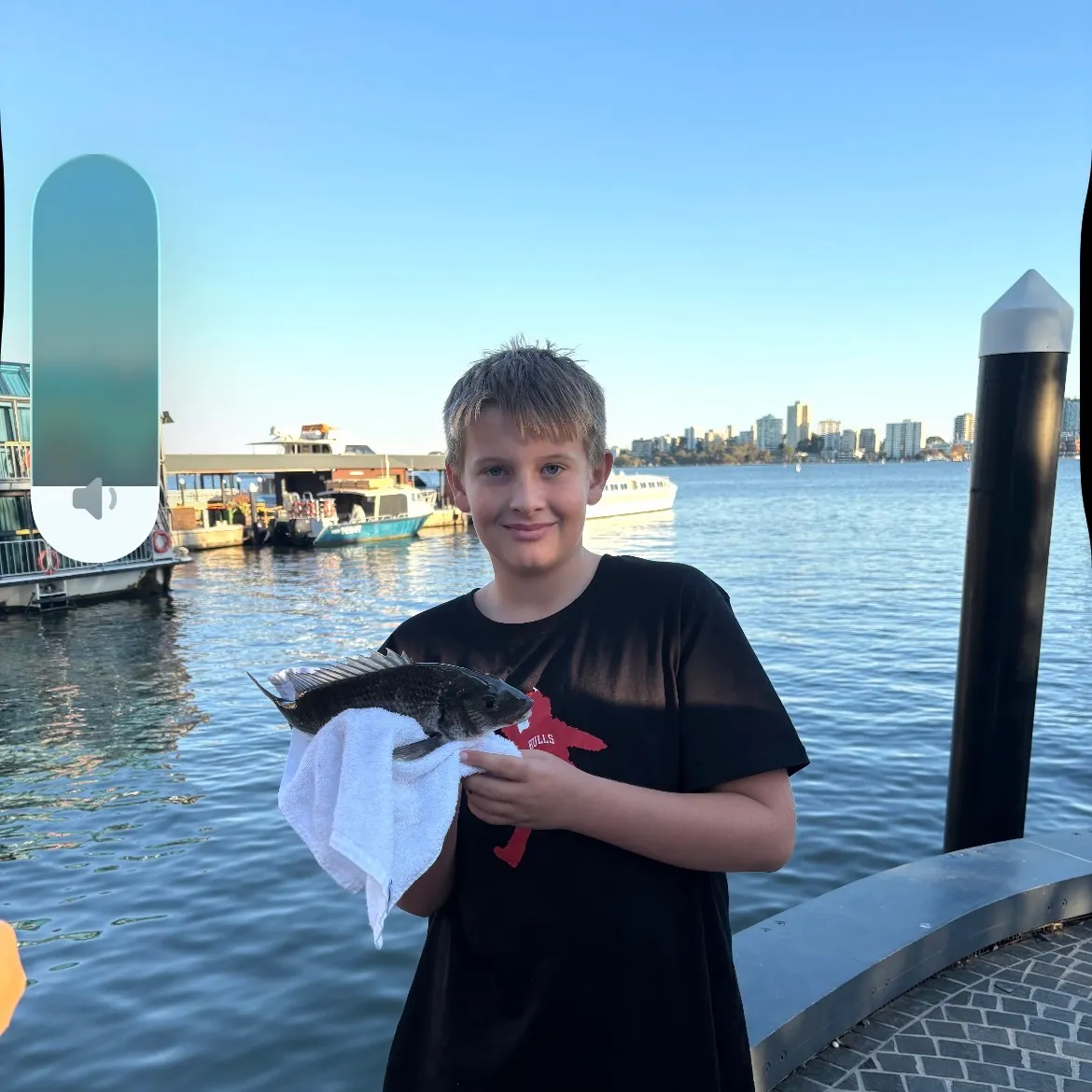 Southern black bream caught on Fishbrain
