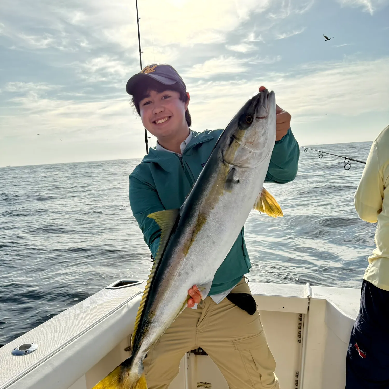 California yellowtail amberjack caught on Fishbrain