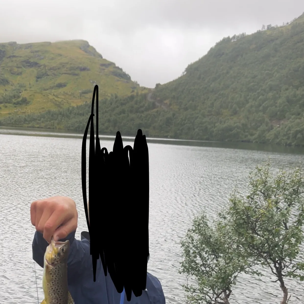Lake trout caught on Fishbrain