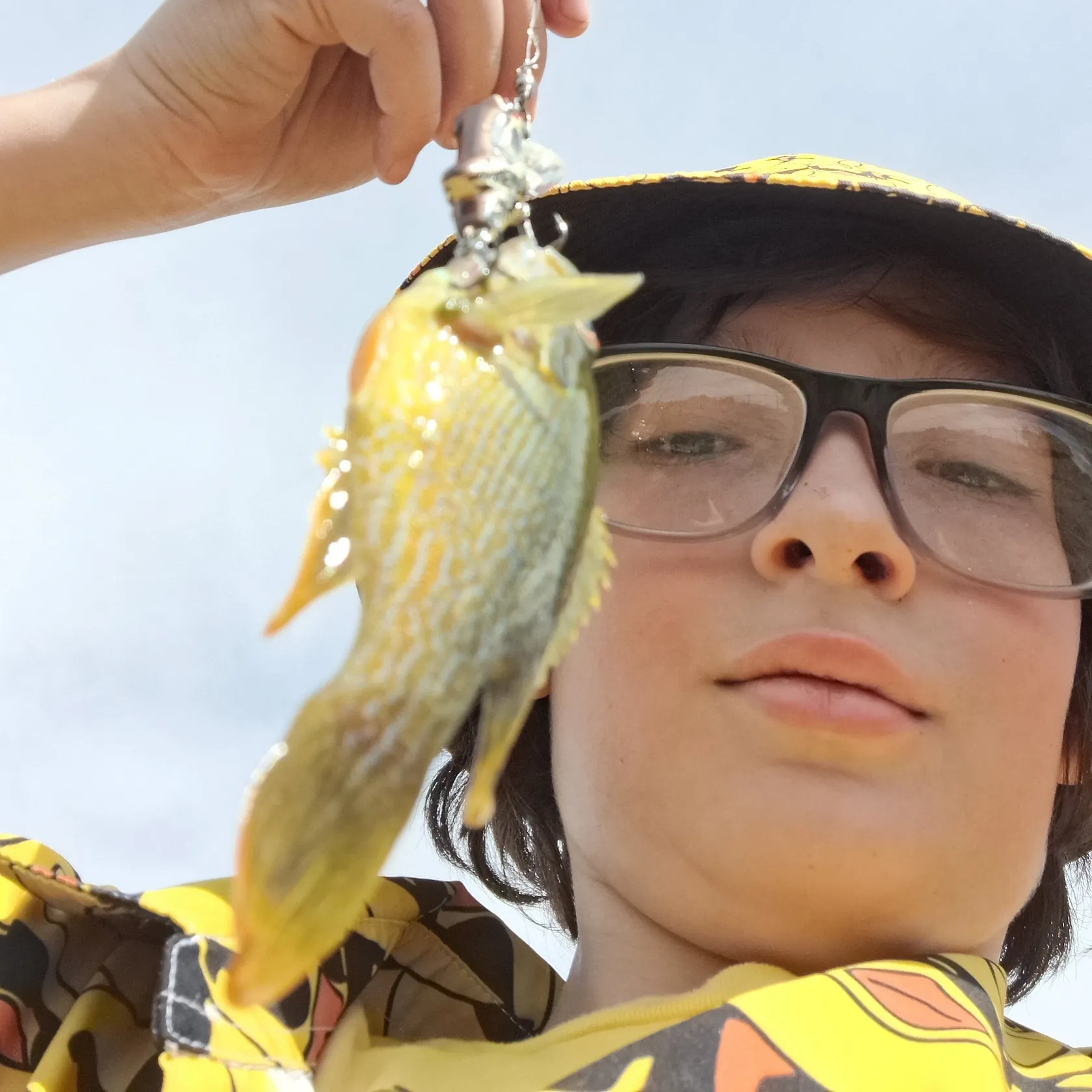 Green sunfish caught on Fishbrain