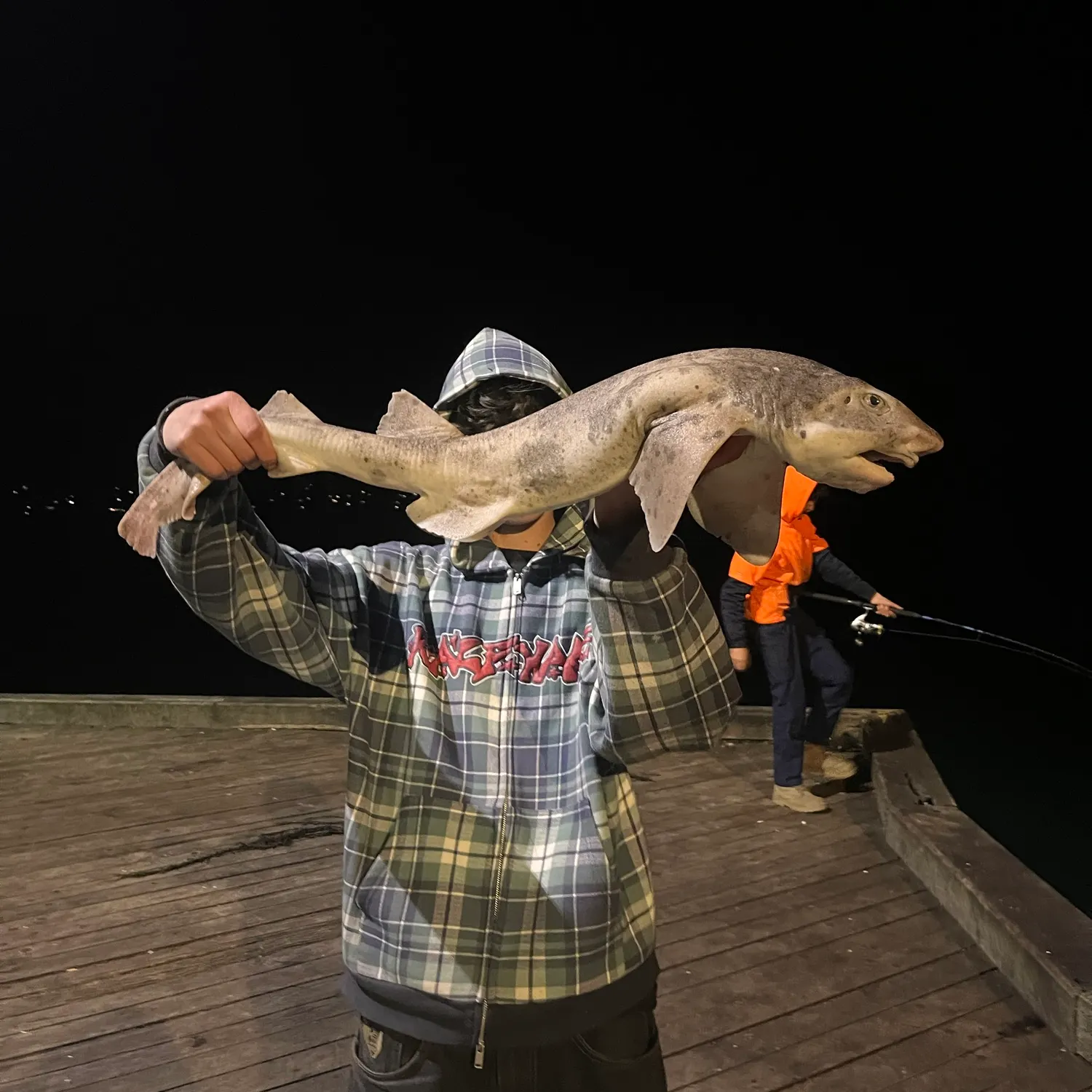 The most recent Swellshark catches on Fishbrain