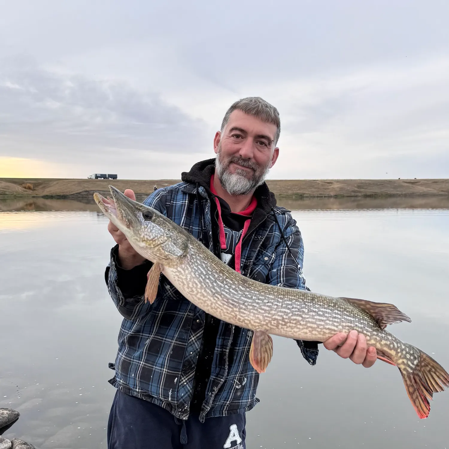 Northern pike caught on Fishbrain