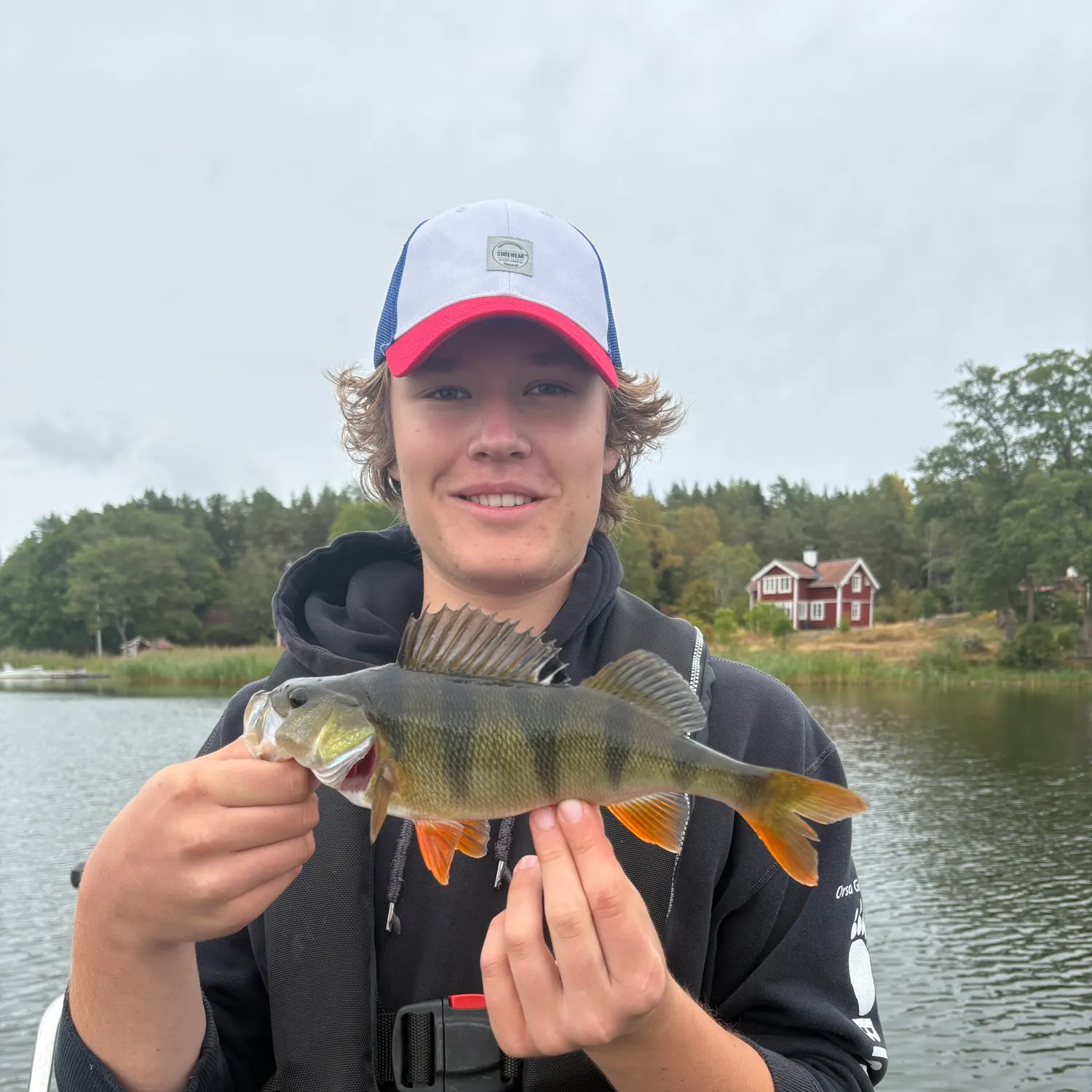 European perch caught on Fishbrain