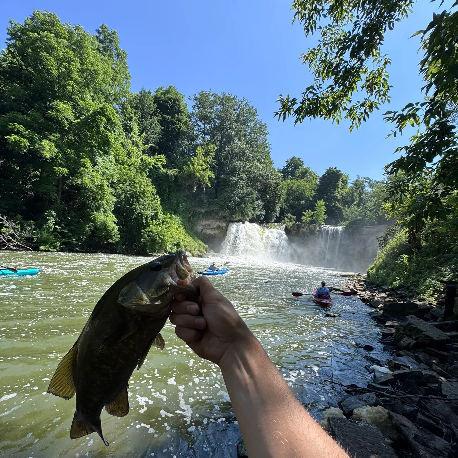 recently logged catches